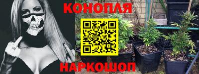гидра Пушкино