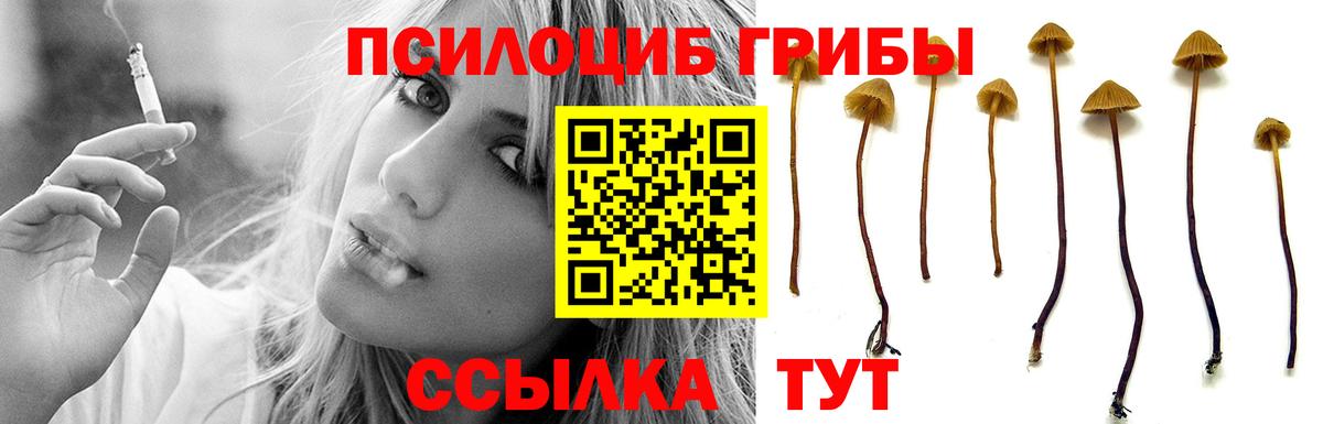 Рассказово  Галлюциногенные грибы GOLDEN TEACHER  Галлюциногенные грибы прущие грибы  Вход с VPN 